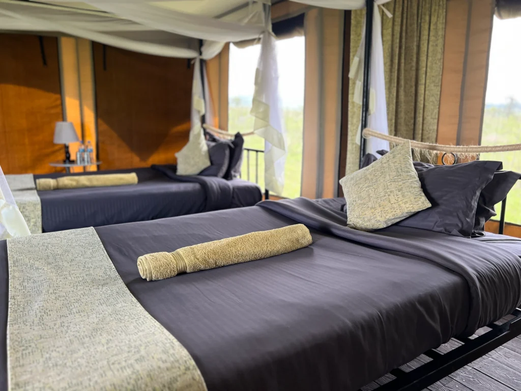 Best hotels in Serengeti
