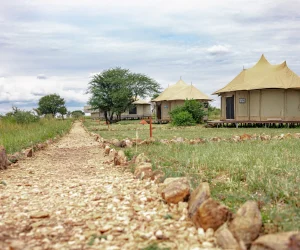 Serengeti WildeBeest Camp 13