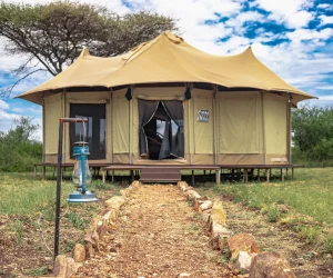 Difference Between a Lodge and a Camp Safari