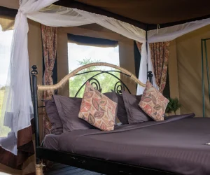Serengeti WildeBeest Camp 4
